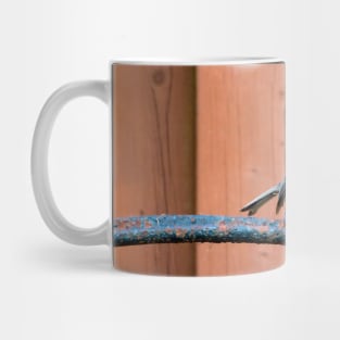 Black-capped Chickadee Standing On A Wheel Mug